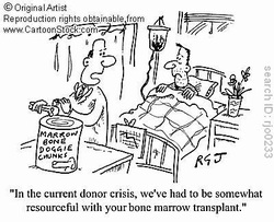 cartoon bone marrow